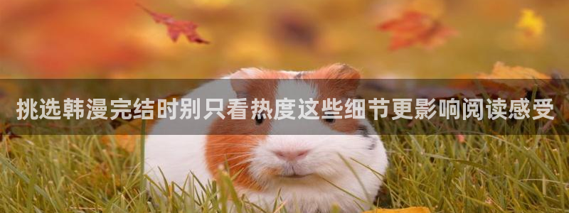 在线免费看漫画:挑选韩漫完结时别只看热度这些细节更影响阅读感受